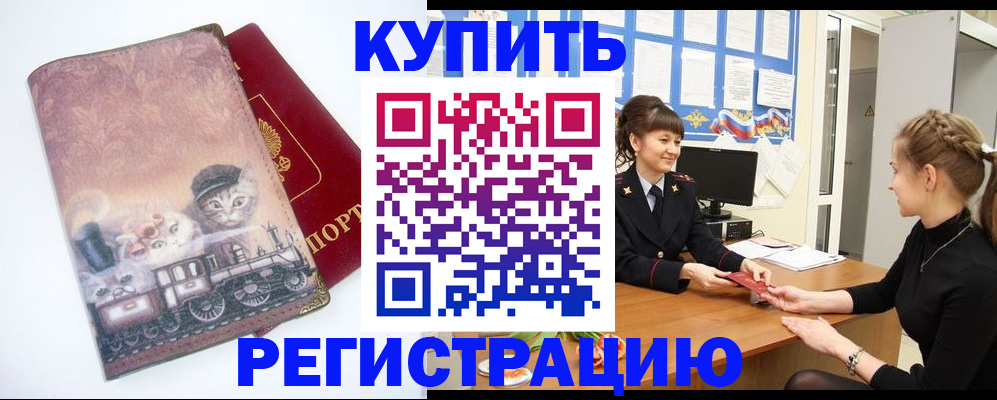 прописка 2025 в Светлогорске